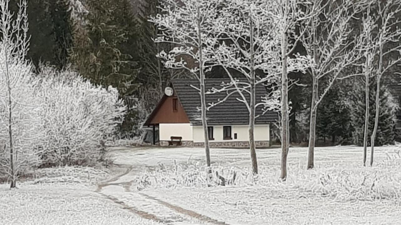 Pocitniska Hisa Taler Villa Bohinj Eksteriør billede