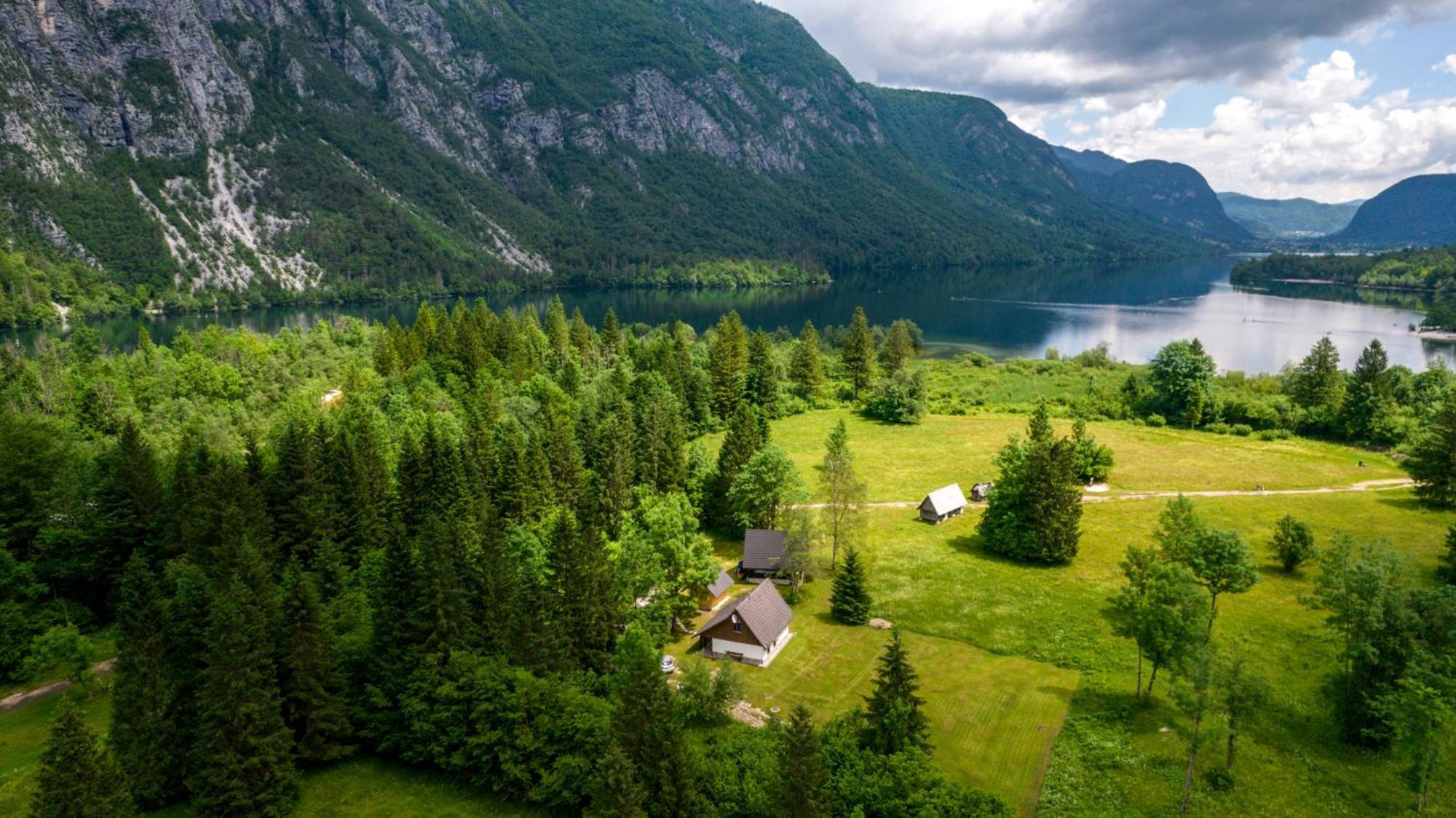 Pocitniska Hisa Taler Villa Bohinj Eksteriør billede